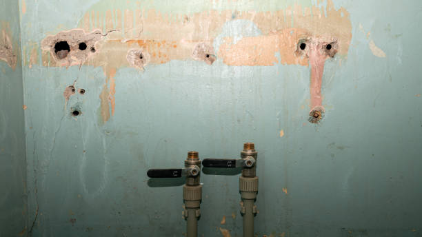 Best Ceiling water damage repair  in Milwaukie, OR