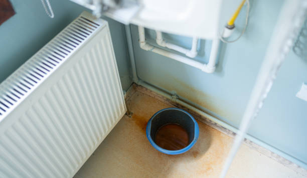 Best Water damage cleanup near me  in Milwaukie, OR