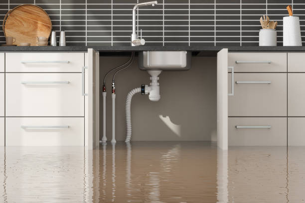 Best Professional water damage repair  in Milwaukie, OR